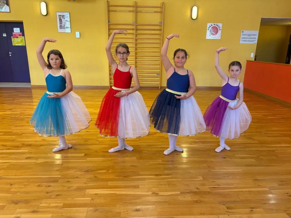 costume danse