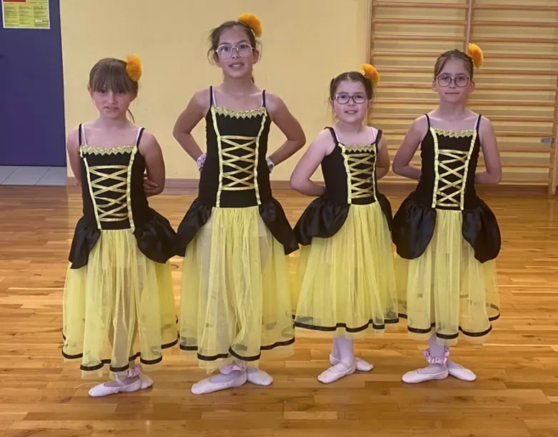 costume danse