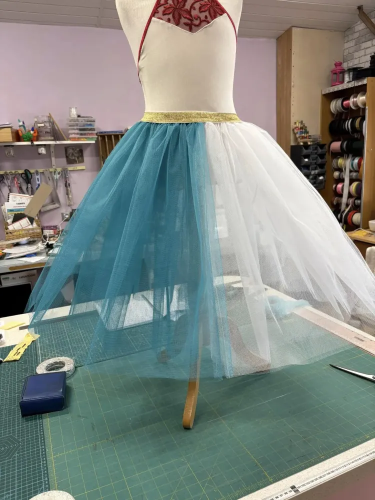 tutu danse (2)