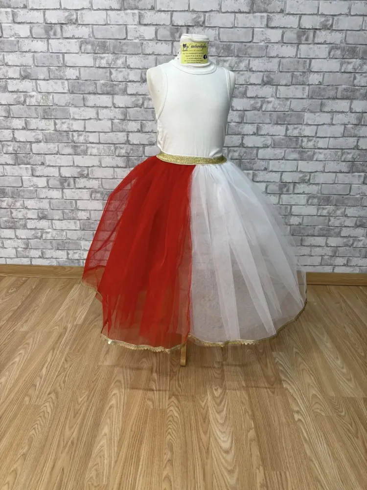 tutu danse (3)